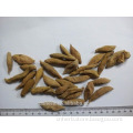 Dried Wild turmeric,Curcuma sichuanensis,Yellow turmeric,Yujin,Chuan yujin,Sichuan yujin